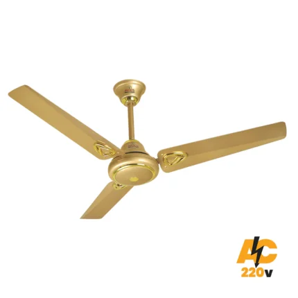Expo Fancy Ceiling Model (220V)